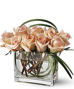 Жарден Флорист